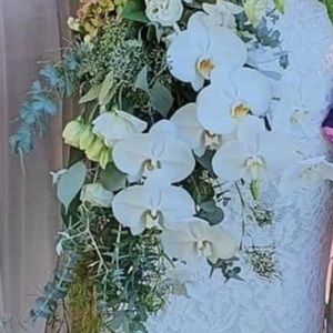 Meet your Posher, Lids